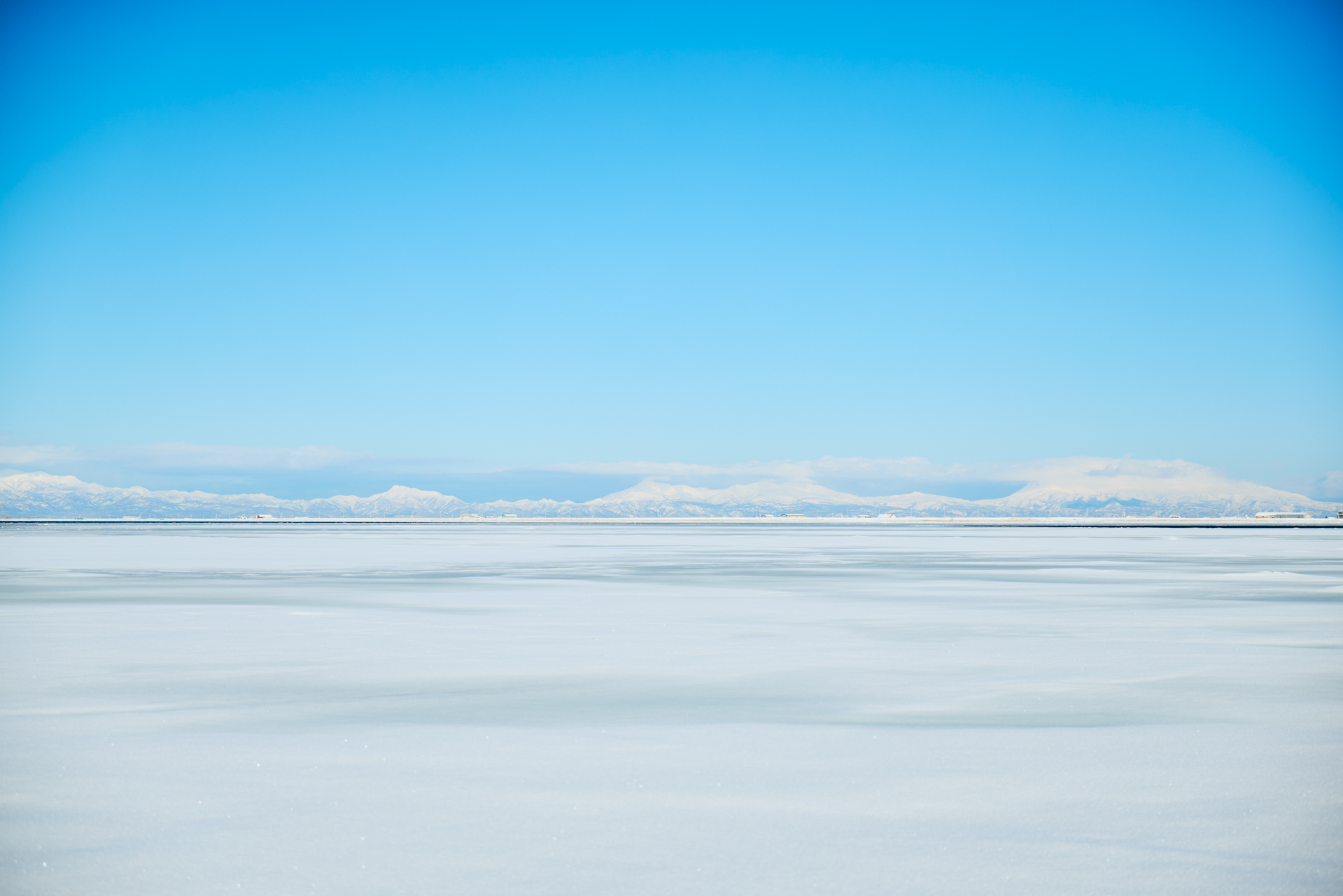 Frozen Flowers 2025 | AMKK（東信, 花樹研究所）